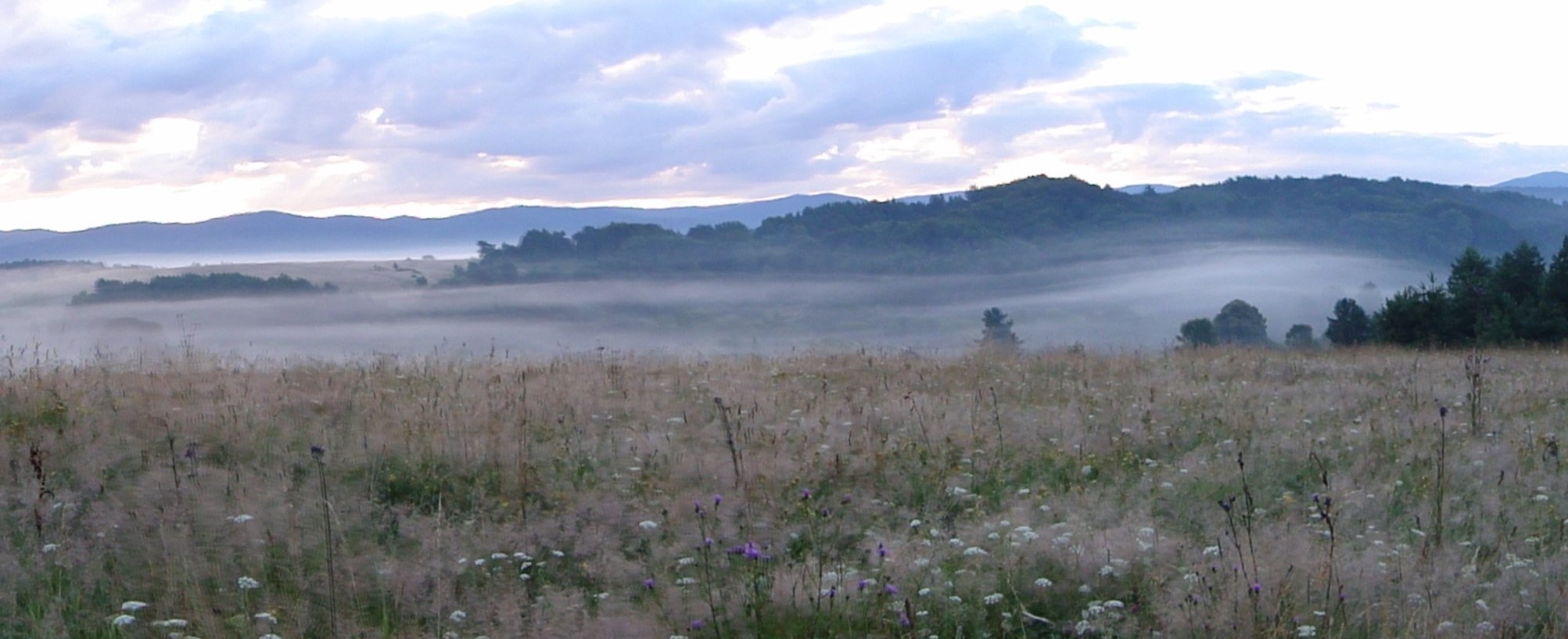 stary łubków polen sonnenaufgang panorama nebel